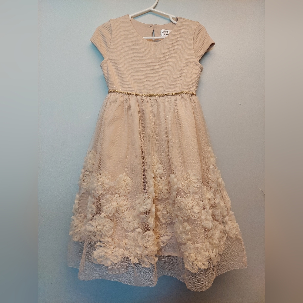 Beautiful 4T Dress